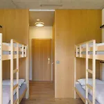 Hostel Youth *